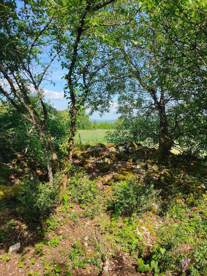 Tente pour 2 personnes, avec jardin et vue ainsi que piscine et terrasse dans le Lot - 4