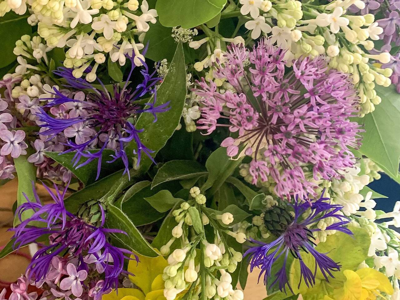 4 Personen Ferienhaus in Hallstavik in Stockholm und Umgebung