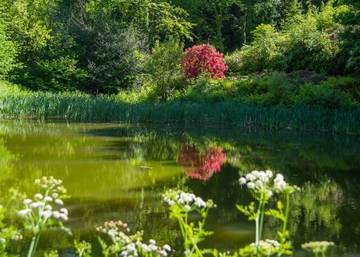 Glamping for 4 People in South West England, Devon, Photo 3