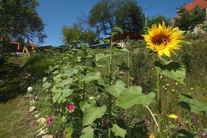 Ferienwohnung für 4 Personen, mit Garten und Pool sowie Sauna in Rathmannsdorf