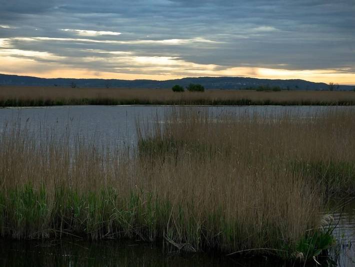 Ferienhaus für 6 Personen, mit Garten und Terrasse in Swinemünde - 3