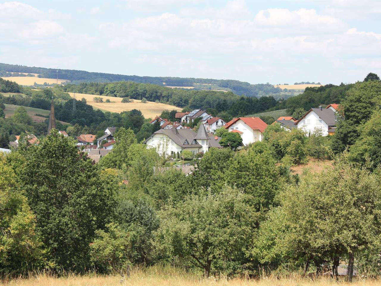 Ganze Ferienwohnung, Feriendomizil Zum Storchennest - Appartement/Fewo, Dusche u. Bad, Wc, 2 Schlafräume in Ohmbach, Saar-Nahe-Bergland