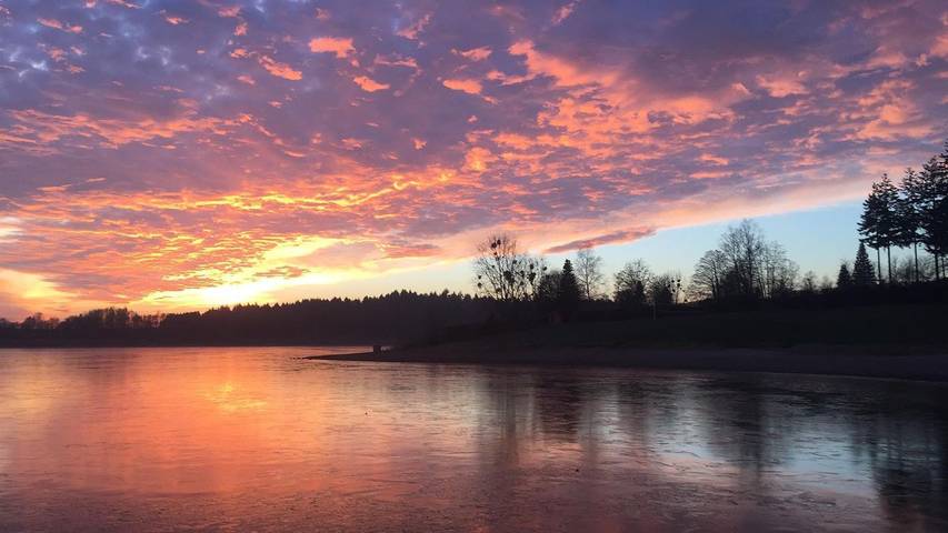 Ferienwohnung für 4 Personen, mit Terrasse im Saarland - 4