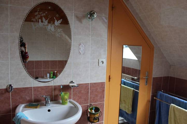 Location de vacances pour 6 personnes, avec jardin et terrasse, animaux acceptés à Saint-Vincent-sur-Oust - 4