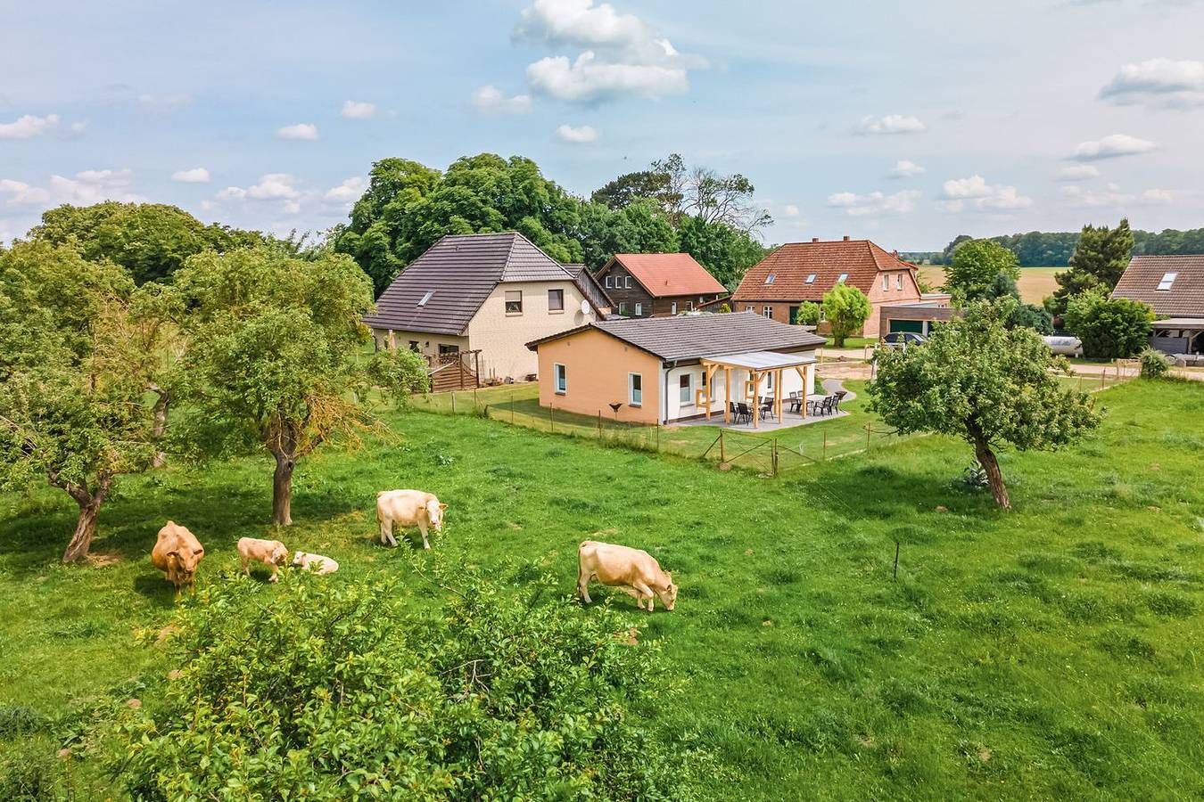 Ferienhaus Alt-Gaarz – Idyllische Auszeit mit Steg und See für 6 Personen in Lärz, Müritz