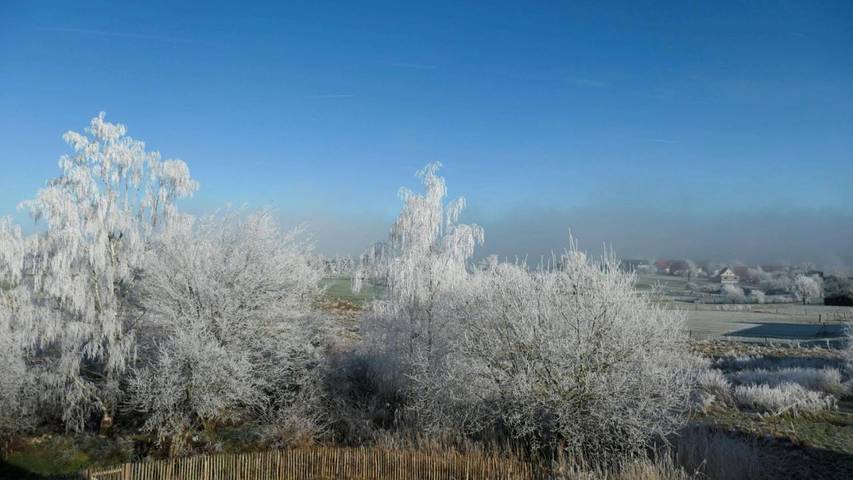 Ferienwohnung für 4 Personen, mit Terrasse und Garten sowie Ausblick in Erbach im Odenwald - 2
