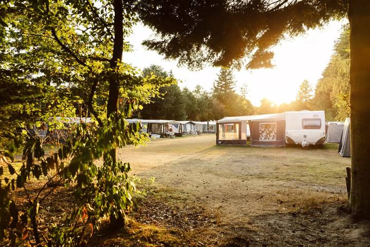 Ganze Wohnung, Jägerhütte 2 Personen in Epe, Veluwe