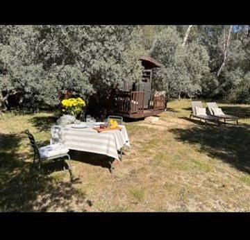 Roulotte / Tiny House dans les Alpilles in Saint-Rémy-de-Provence, Région d'Arles