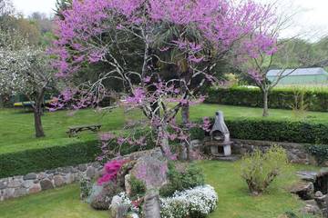 Maison D’hôte pour 2 Personnes dans Loubajac, Hautes-Pyrénées, Photo 2