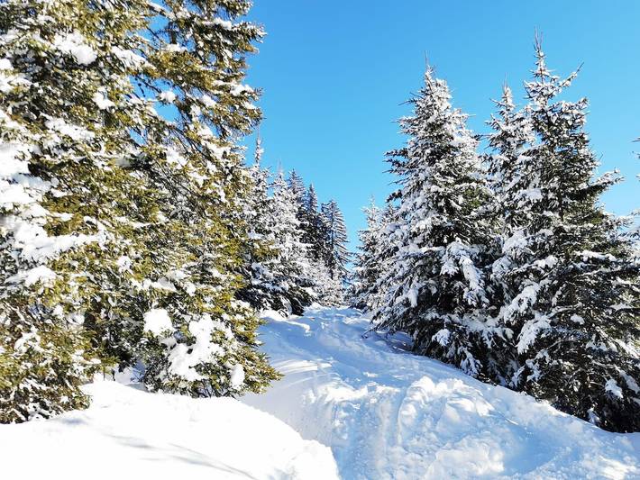 Ferienwohnung für 4 Personen, mit Garten und Ausblick, kinderfreundlich in Osttirol - 3