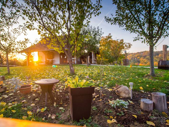 House Atar in Brod-Posavina