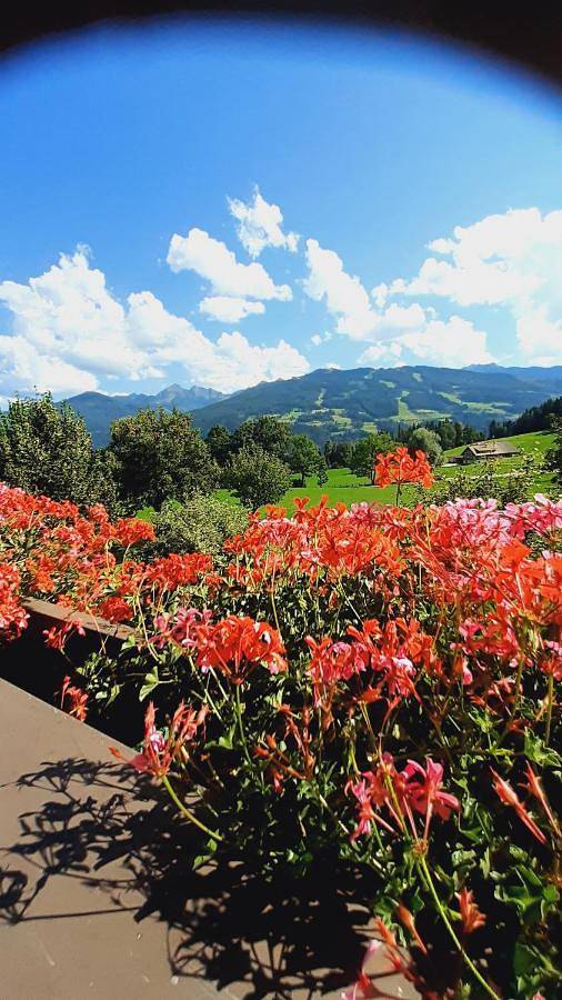 Bnb für 2 Personen, mit Balkon und Terrasse sowie Garten und Sauna in Ramsau am Dachstein - 3