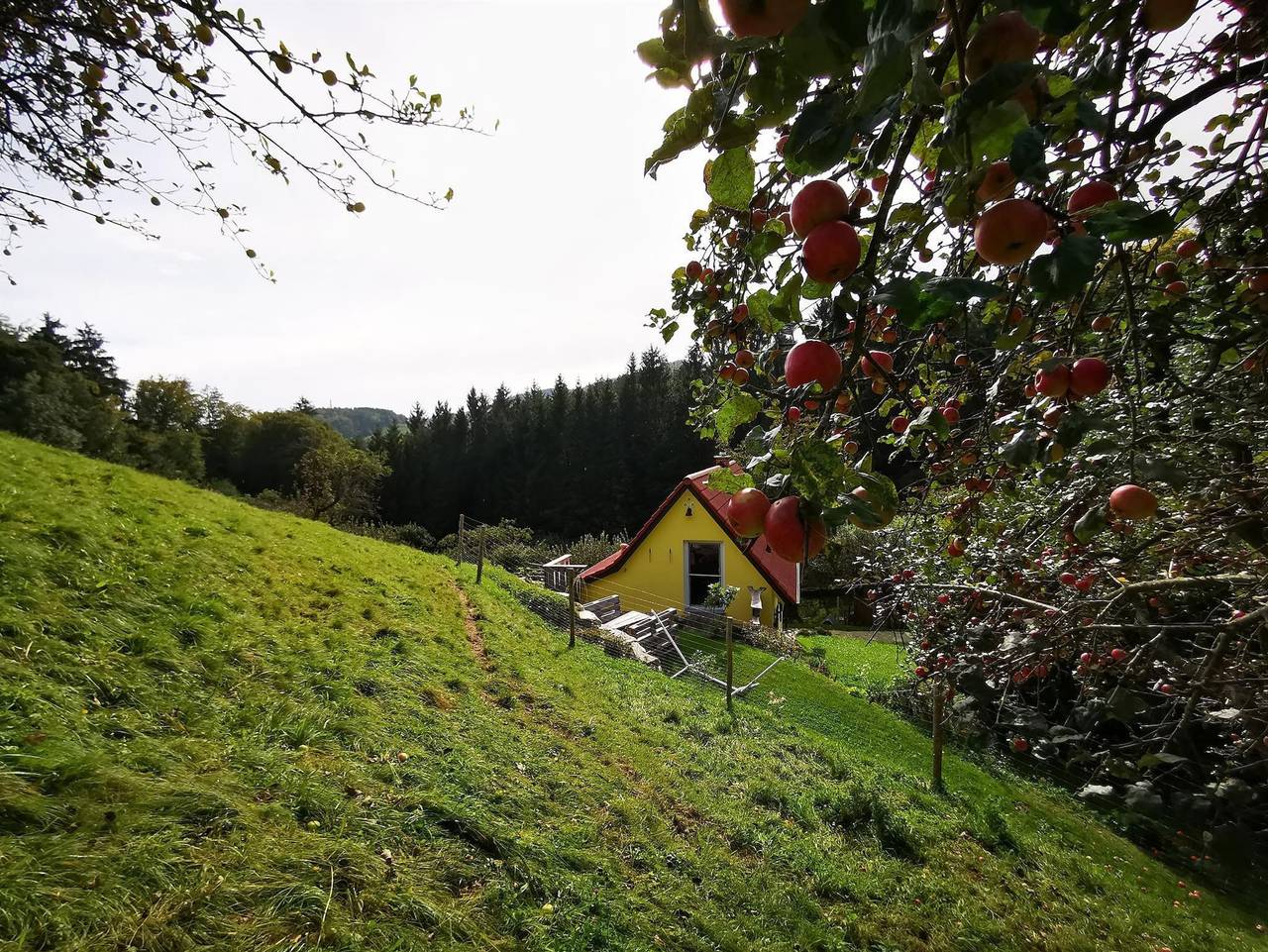 Ferienhaus Grabenhansl - Bauernhaus "Landlust", 2 Bäder, Wc, 3 Schlafräume in Gemeinde Stubenberg, Steirerland