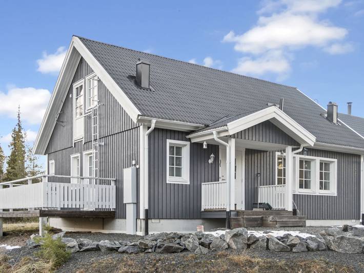 Ferienhaus für 10 Personen, mit Terrasse und Sauna, mit Haustier - 1