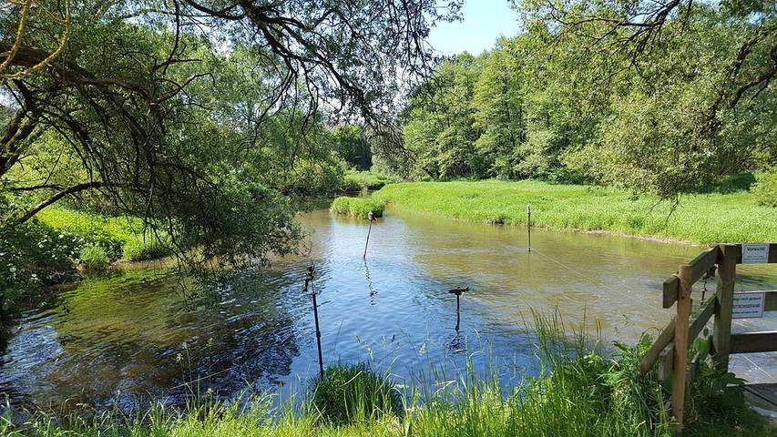 Ferienhaus für 2 Personen, mit Garten im Bayerischer Wald - 2