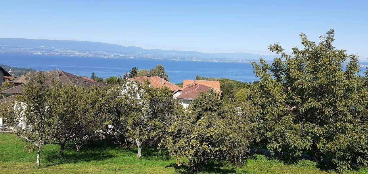 Double Room with Lake View in Publier, Région de Thonon-les-Bains