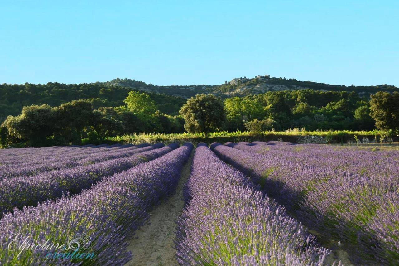 Lo Rastelié in Suze-la-Rousse, Région de nyons