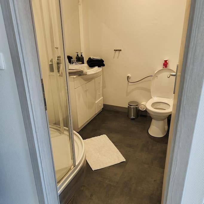 Appartement entier, One-Bedroom Apartment in Nogent, Haute-Marne