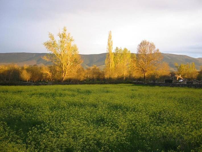 Casa rural para 4 personas, con Balcón y Terraza además de Jardín y Vistas en Braojos de la Sierra - 2