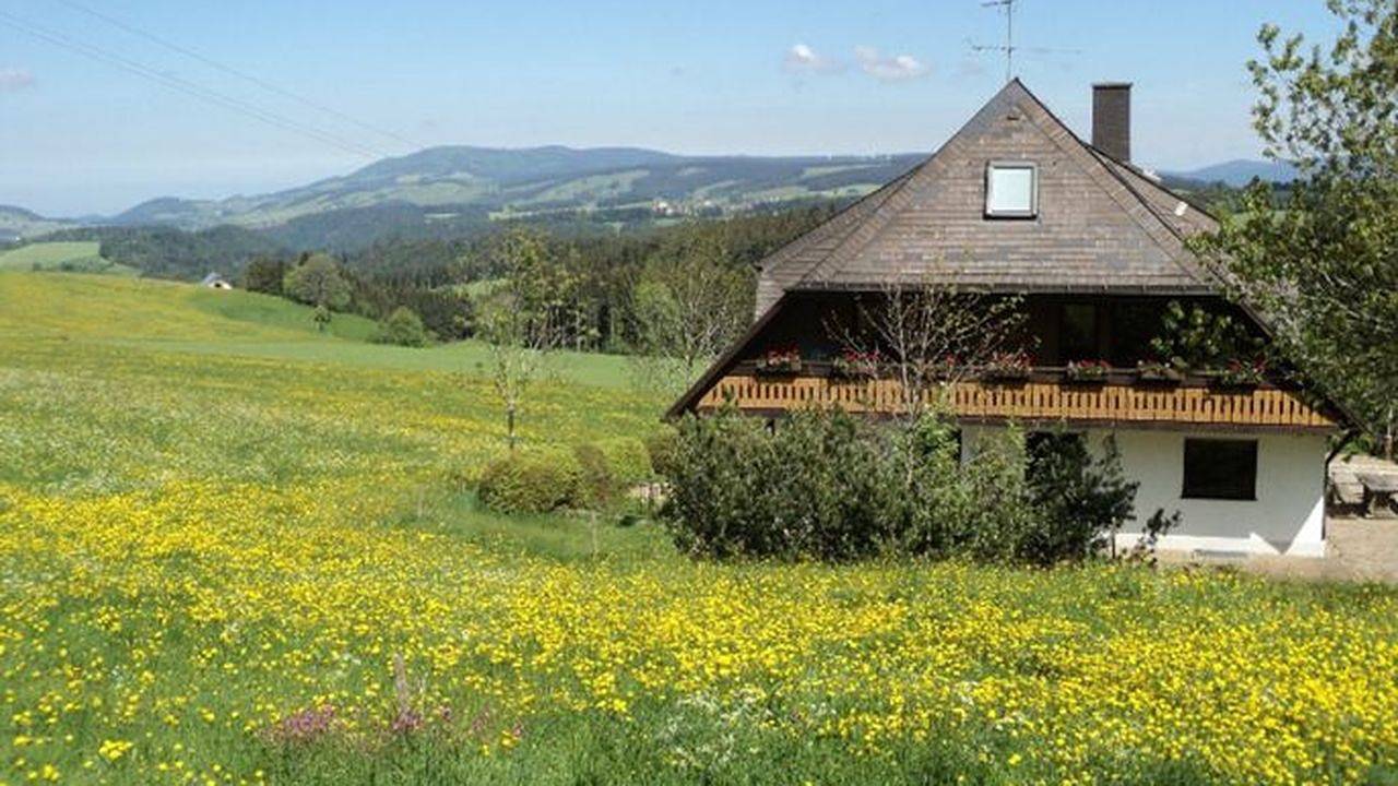 Entire holiday apartment, Ferienwohnung für 4 Personen (44 m²) in Sankt Märgen in Suedlicher Schwarzwald, St. Märgen