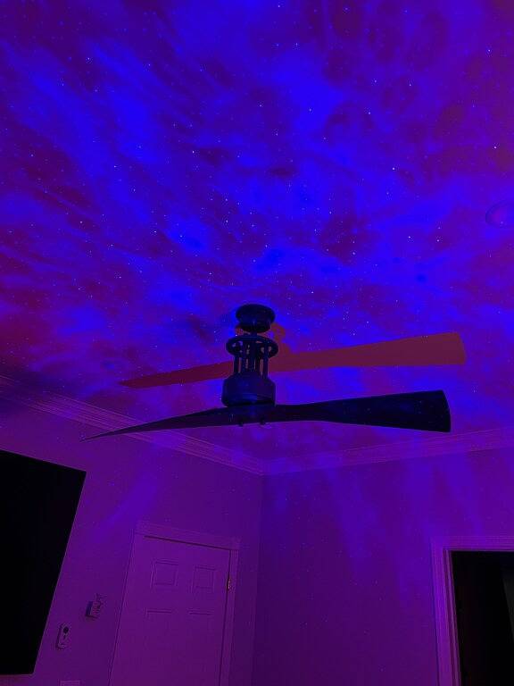 Ganze Wohnung, Luxuriously furnished 4 bedroom apartment in Newark, Essex County (NJ)