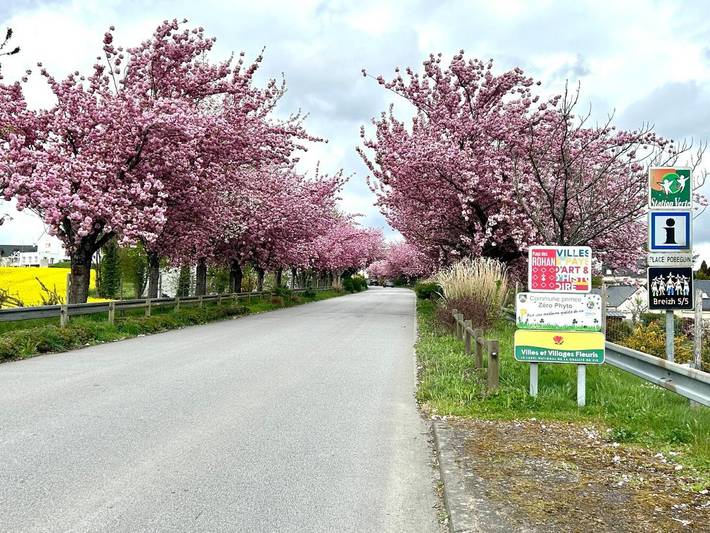Gîte pour 2 personnes, avec vue et jardin à Cléguérec - 3