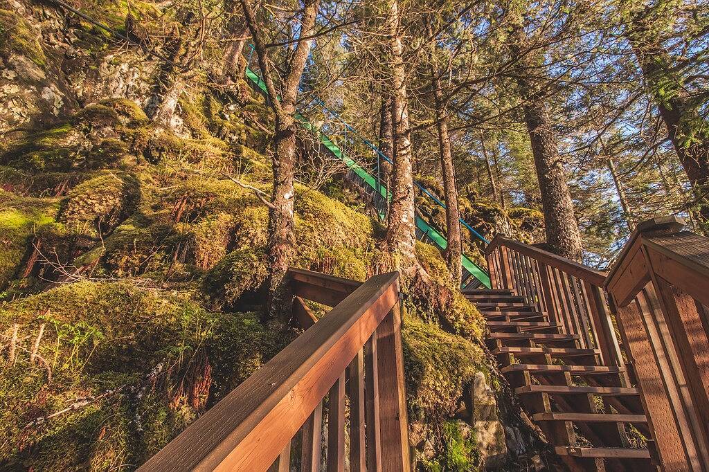 Die Fox Den! Wunderschöne abgelegene Ocean Front Cabin in der Resurrection Bay! in Kenai Peninsula