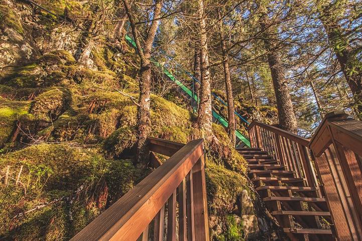 Cabane en bois pour 4 personnes, avec jardin, animaux acceptés dans Alaska - 3