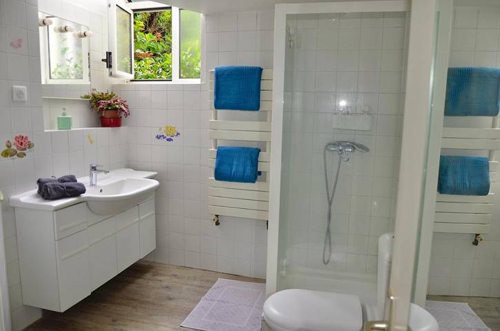 Chambre d’hôte pour 3 personnes, avec terrasse et jardin dans Val-de-Marne - 4