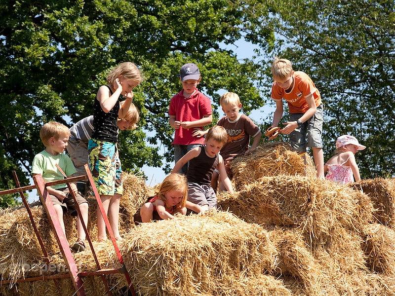 Ferienhof Aarlanderveen in Groene Hart