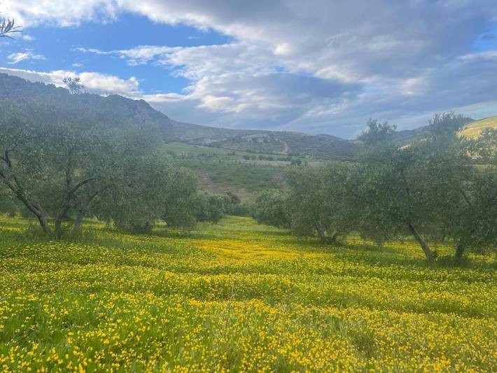Casa rural para 2 personas, con piscina además de vistas y jardín en Valle del Guadalorce - 2