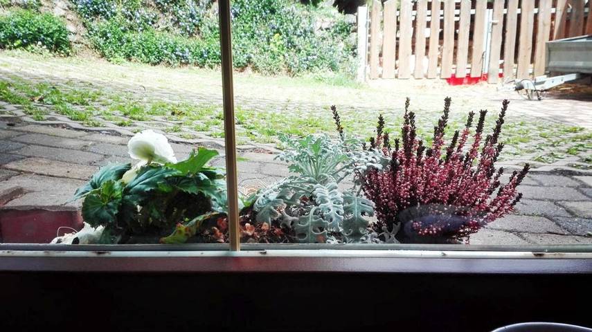 Ferienwohnung für 2 Personen in Augustusburg - 4