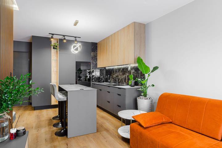 Cały apartament, Lumina luxury apartment with garden in Łódź, Województwo łódzkie