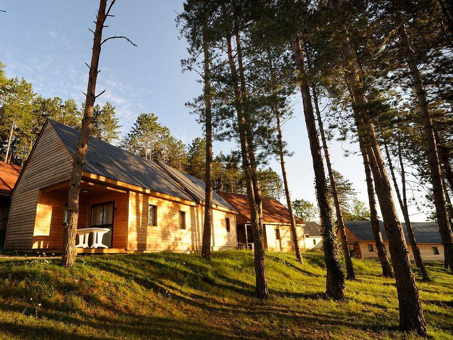 Vacances Ulvf Le Domaine de Pelvezy - Gîte 4 personnes - Gîte 4 personnes Pmr in Saint-Geniès, Périgord Noir