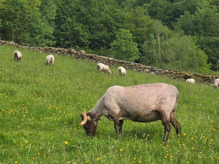 Casa rural para 2 personas, con vistas y jardín en Baztán - 2