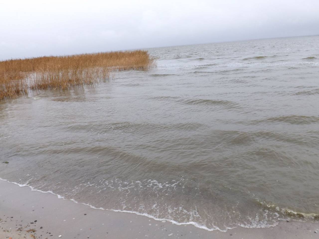 Haus Saaler Bodden in Neuendorf (Bei Saal), Saal