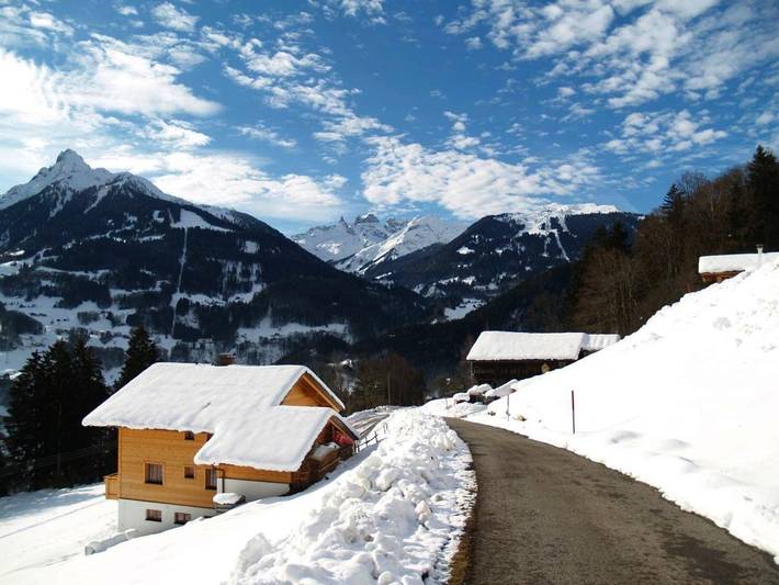 Ferienwohnung für 4 Personen, mit Terrasse und Garten sowie Sauna und Ausblick in Bartholomäberg