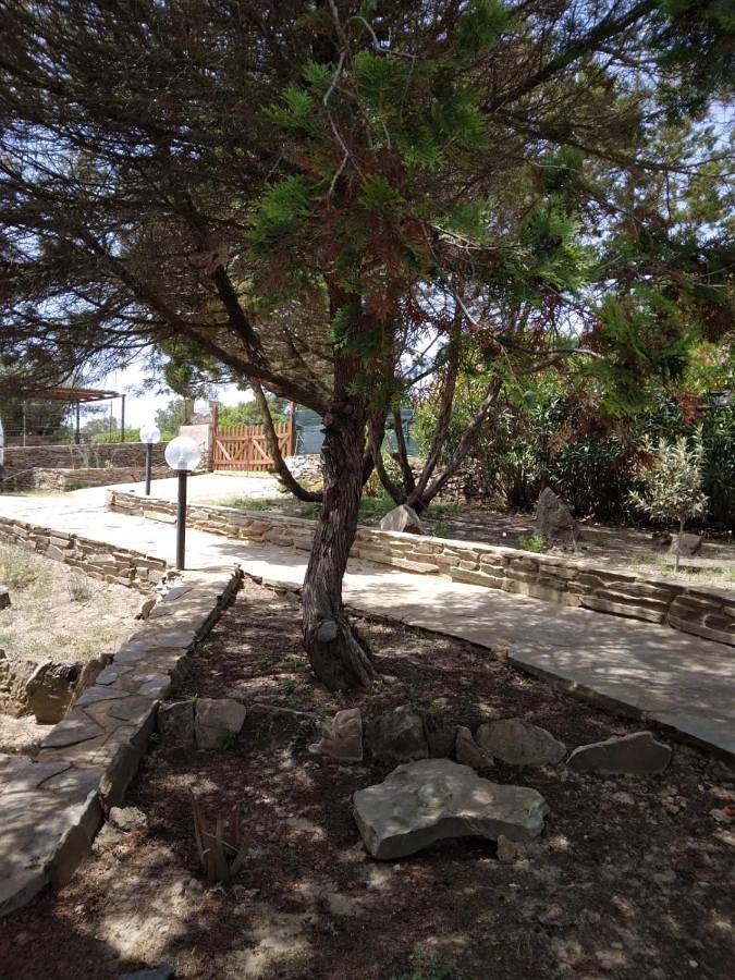 Chambre d’hôte pour 2 personnes, avec jardin ainsi que terrasse et vue à Stintino - 2