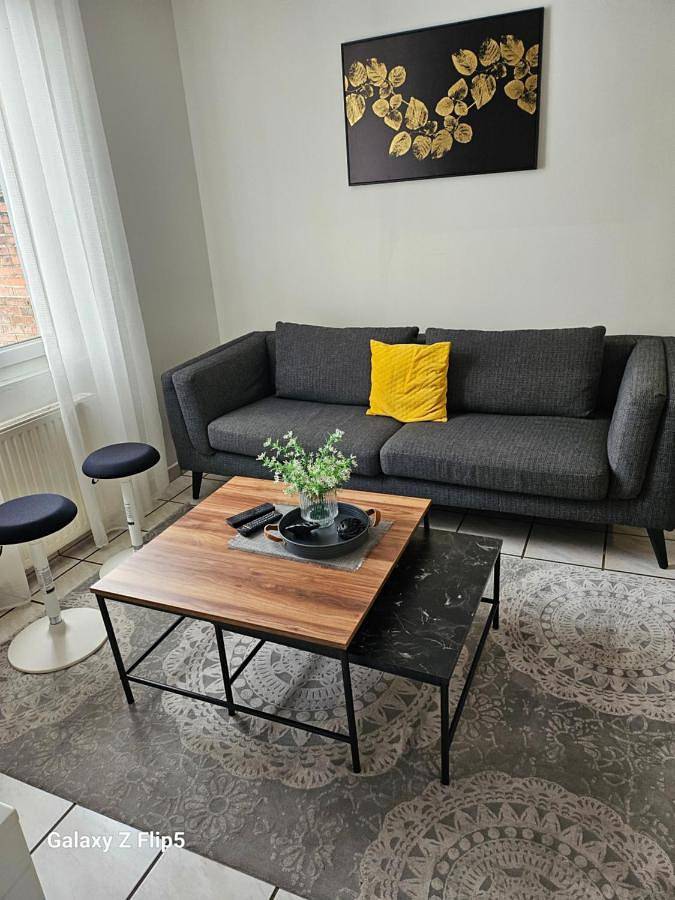 Location de vacances pour 8 personnes, avec jardin et vue à Beauvais - 4