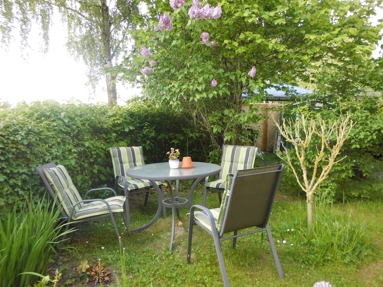 Doppelzimmer "Anni" in Tribsees, Recknitz-Trebeltal