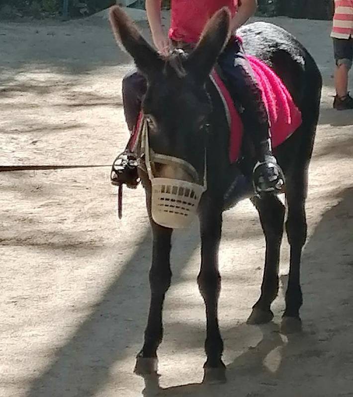 Location de vacances pour 4 personnes, avec jardin et terrasse à Aydat - 2