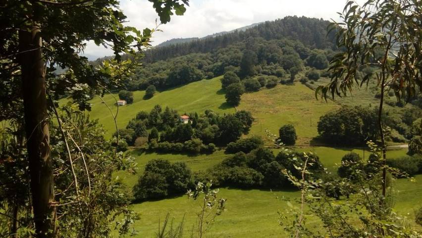 Casa rural para 7 personas, con vistas y jardín, Se admiten mascotas en Valle del Pas - 4