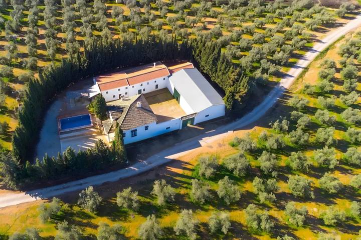 Casa rural para 11 personas en Villanueva de Algaidas