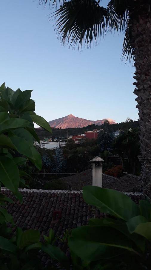 Chalet para 2 personas, con jardín y jacuzzi en Canarias - 4