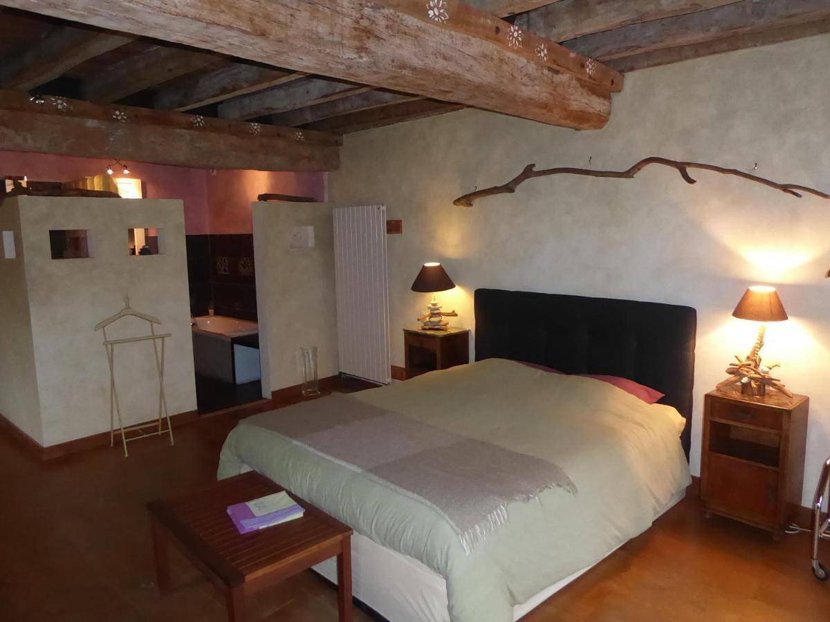 Le Clos de La Pinsonnière in Vaudelnay, Vallée de la Loire