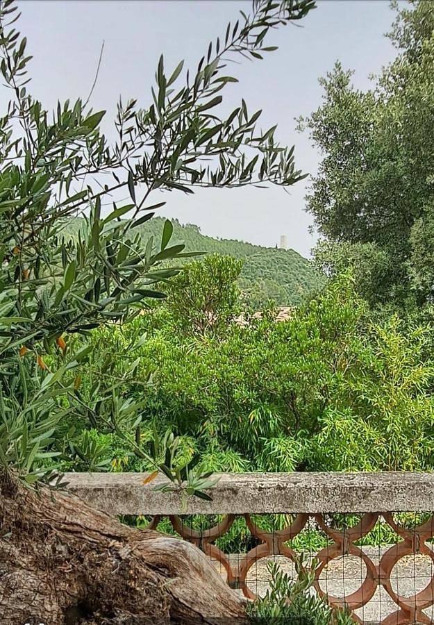 Chambre d’hôte pour 6 personnes, avec vue et jardin