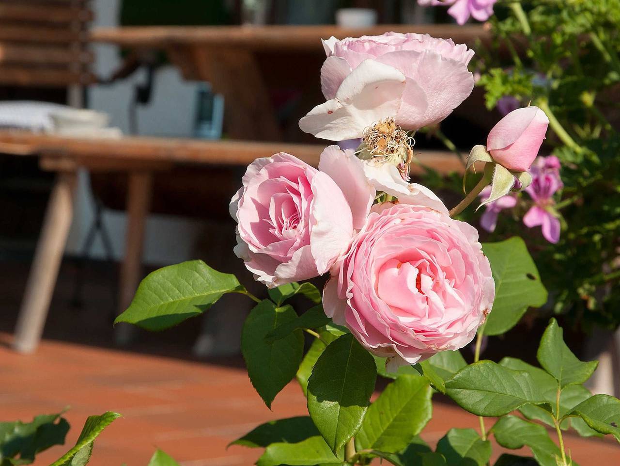 Haus Pletscherer, Kreuth-Brunnbichl - Ferienwohnung Haus Pletscherer in Kreuth, Spitzingsee