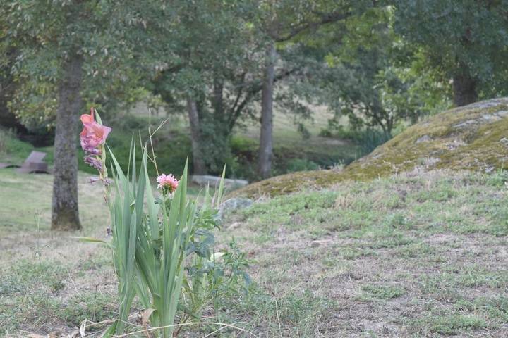 Location de vacances pour 2 personnes, avec Terrasse ainsi que Jardin et Vue à Brousses-et-Villaret - 2