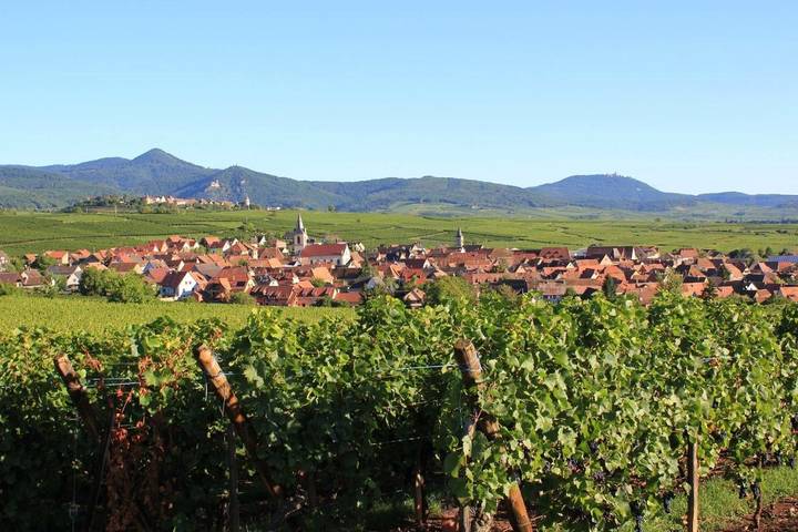 Gîte pour 3 personnes à Beblenheim - 2