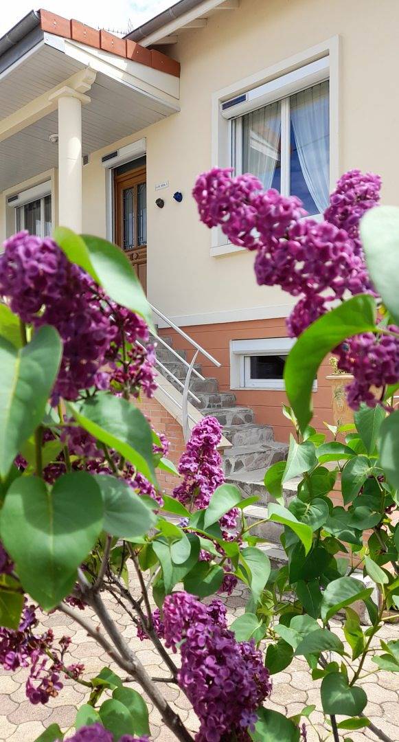 Chambre d’hôte pour 2 personnes, avec jardin à Brassac-les-Mines